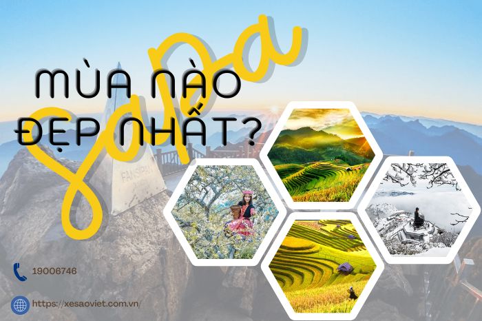 SaPa mùa nào đẹp nhất? Nên đi du lịch SaPa mùa nào?