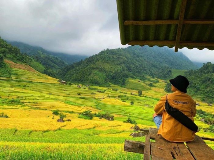 Trải nghiệm săn lúa chín ở SaPa.