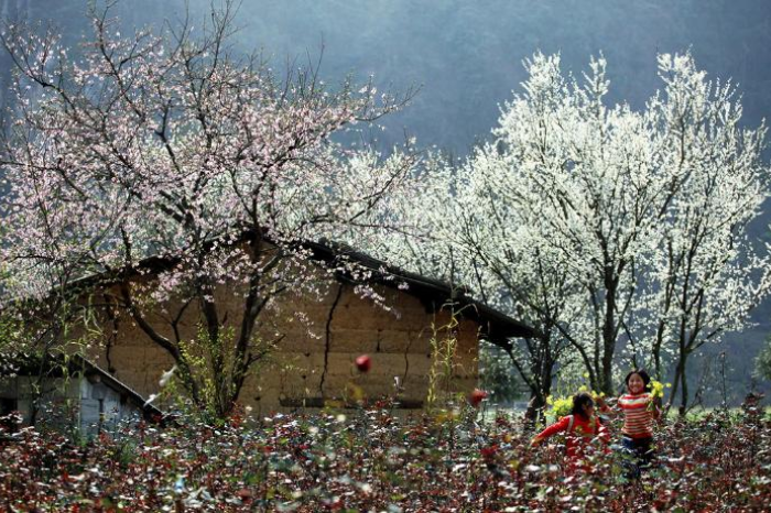 Khung cảnh thiên nhiên SaPa tháng 2.