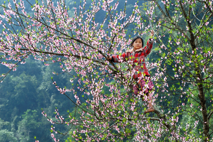 Chiêm ngưỡng bức tranh hoa rực rỡ sắc màu.