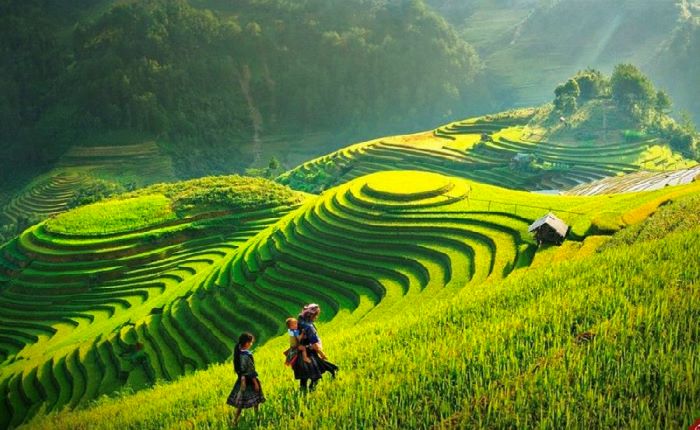 Thời tiết tháng 7 ở SaPa với những cơn mưa phùn bất chợt