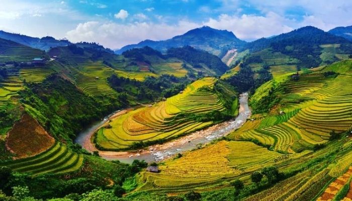 Mù Cang Chải với hệ sinh thái rừng nguyên sinh che phủ rộng lớn