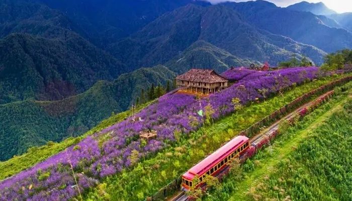Gợi ý phương tiện phù hợp giúp chuyến đi SaPa tháng 4 trọn vẹn hơn