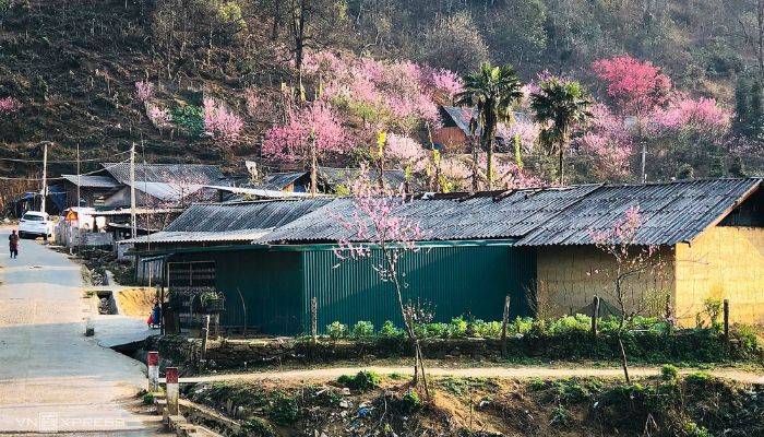 SaPa tháng 4 không chỉ đẹp mà còn hấp dẫn với ẩm thực phong phú